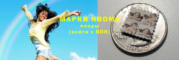 прущие грибы Верея